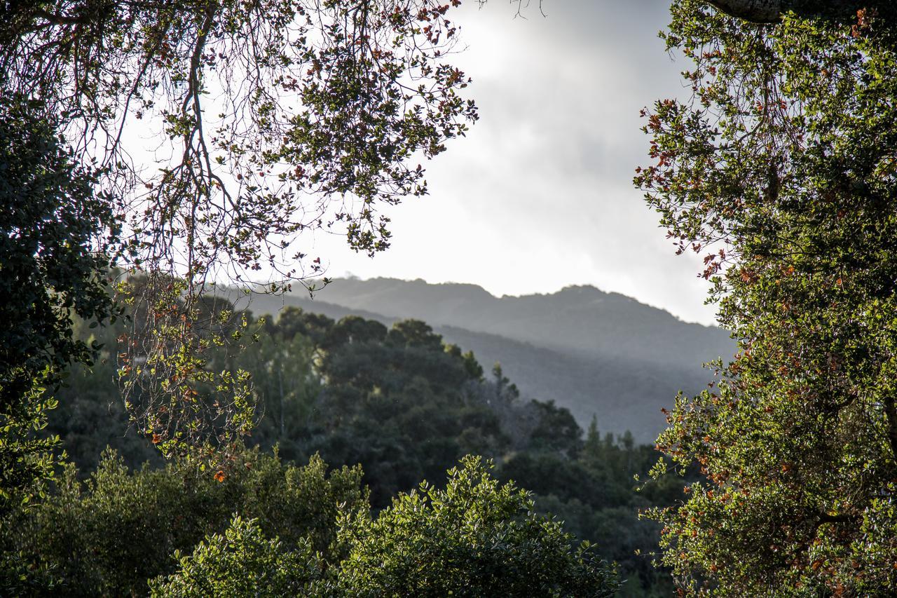 Hidden Valley Inn Carmel Valley Kültér fotó